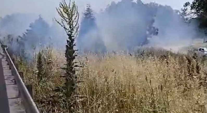 İzmir-Bursa kara yolunda alevler korkuttu