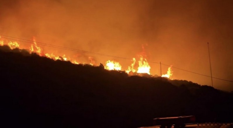 İzmir'de makilik alanda yangın