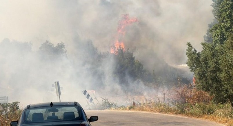 İznik'te korkutan yangın