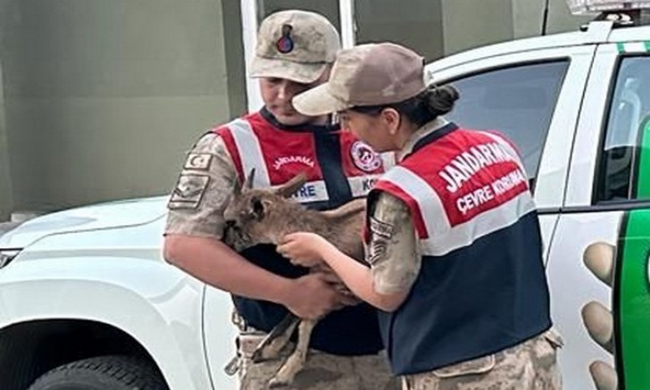 Jandarmanın şefkat eli
