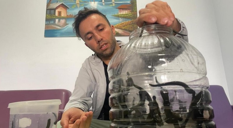 Kadınlar cilt güzelliğini sülükte arıyor