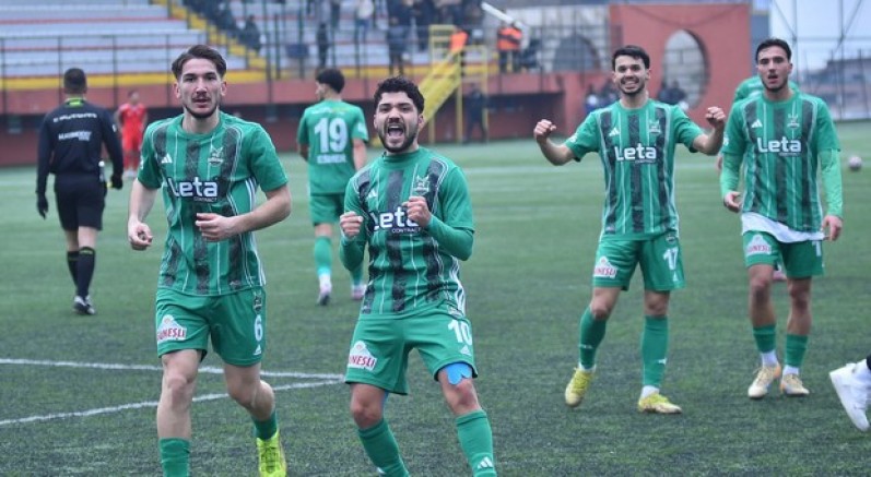 Kafkas Kartalı yüksekten uçuyor