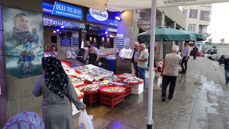 Karadeniz'de balık bereketi