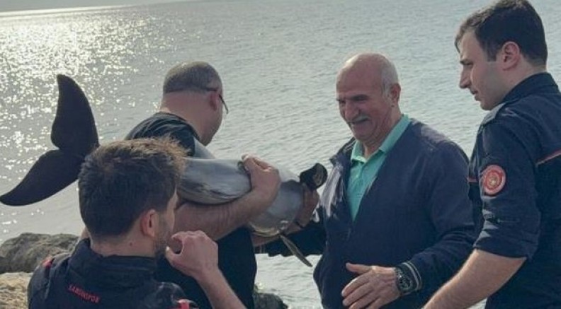 Kayalıklara sıkışan yunusu polis memuru kurtardı