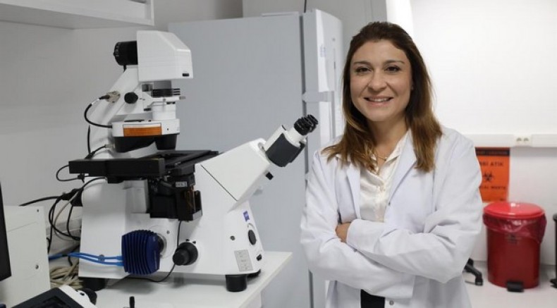 Kemik erimesinin tedavisinde uluslararası iş birliği