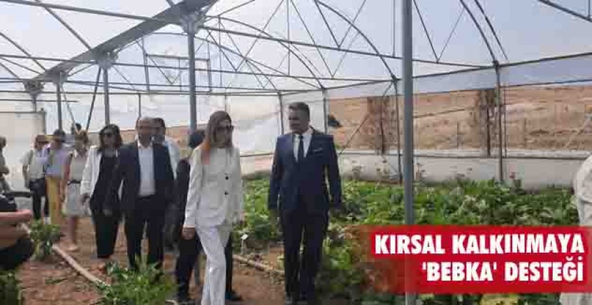 Kırsal kalkınmaya 'BEBKA' desteği