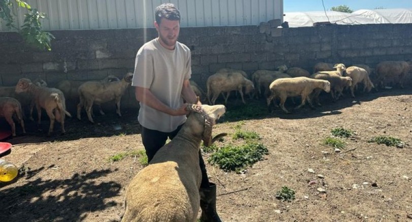 Kırsalda kurbanlık 20 bin liradan başlıyor