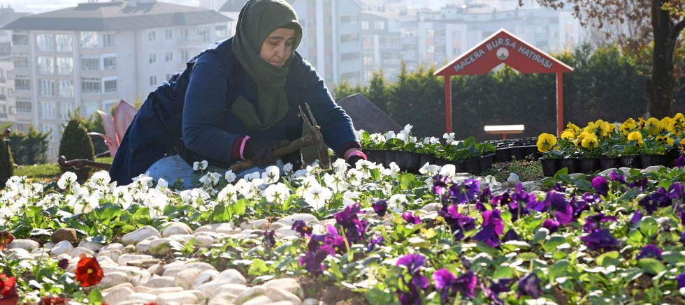 Kış çiçekleri Osmangazi'yi güzelleştiriyor