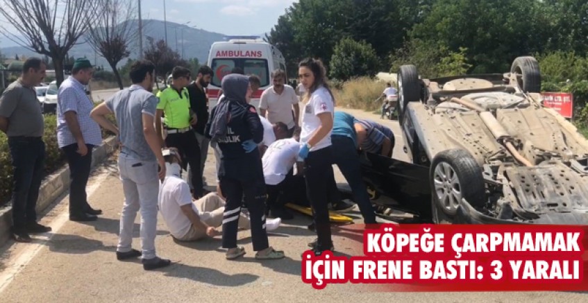 KÖPEĞE ÇARPMAMAKİÇİN FRENE BASTI: 3 YARALI