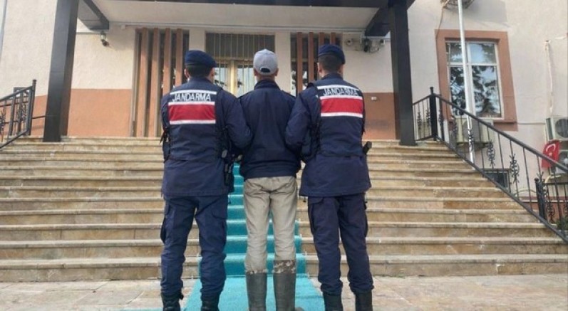Köpeklerin sahibini vuran 17 yaşındaki şüpheli tutuklandı