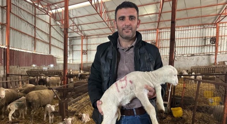 Koyunculuğa başlayacaklara önemli öneriler