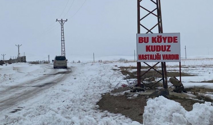 Kuduz alarmı: Bir köy karantinaya alındı