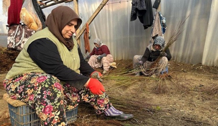 Kurulan her meyve bahçesinde "Bursa" imzası var