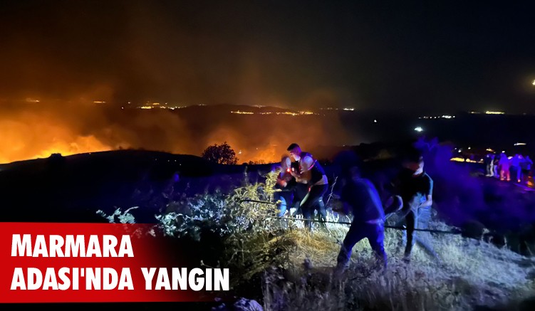Marmara Adası'nda yangın
