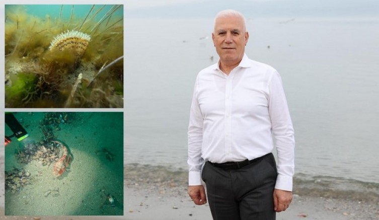 Marmara Denizi hepimizin