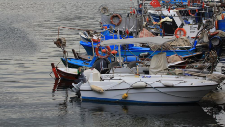Marmara'nın küçük balıkçılarına müjde geldi