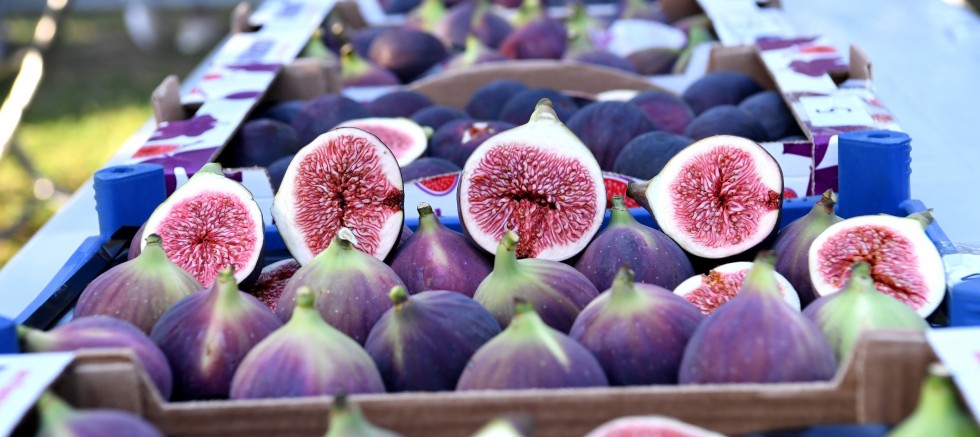 MasterChef'e sihay İncir damgası