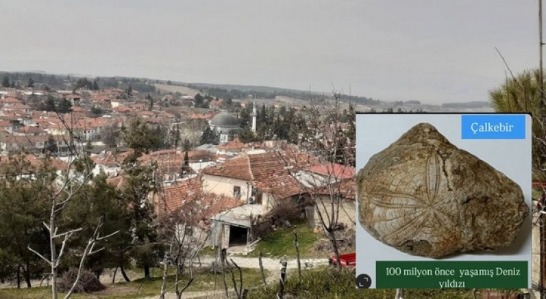 Milyonlarca yıllık deniz yıldızı fosili bulundu