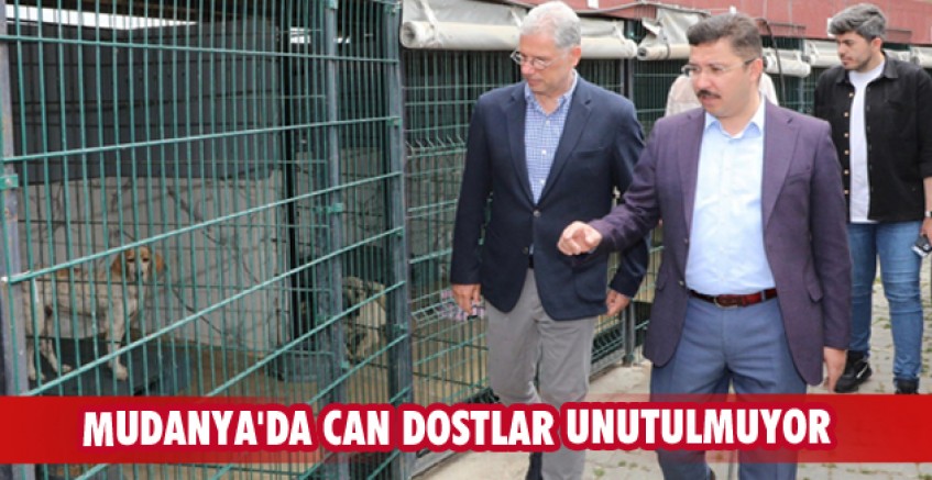 Mudanya'da can dostlar unutulmadı