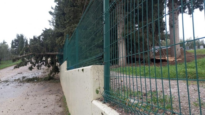 Mudanya'da lodos ve yangın paniği