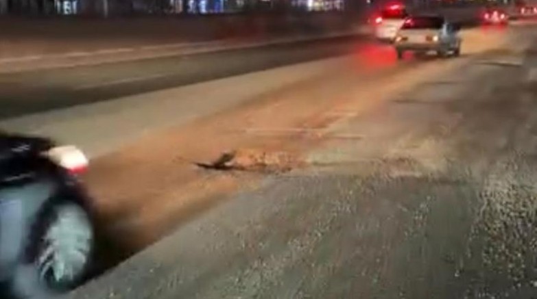 Mudanya Yolu sürücülere kabus yaşatıyor