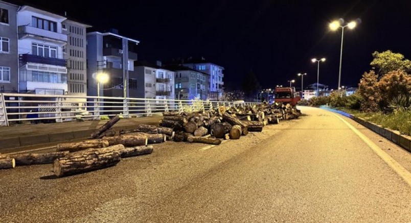 Odunlar yola döküldü