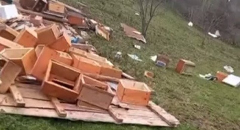 Onlarca kovan zarar gördü