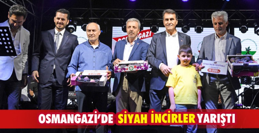 Osmangazi’de siyah incirler yarıştı