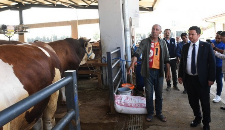 Osmangazi hazır