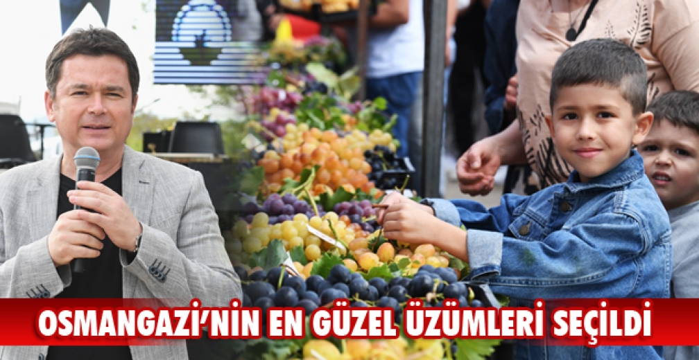Osmangazi’nin en güzel üzümleri seçildi