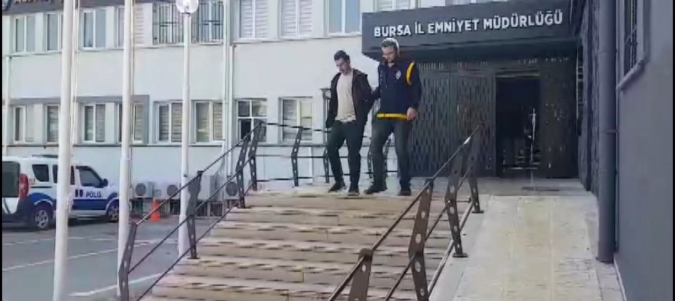Oto faresini burnu yakalattı