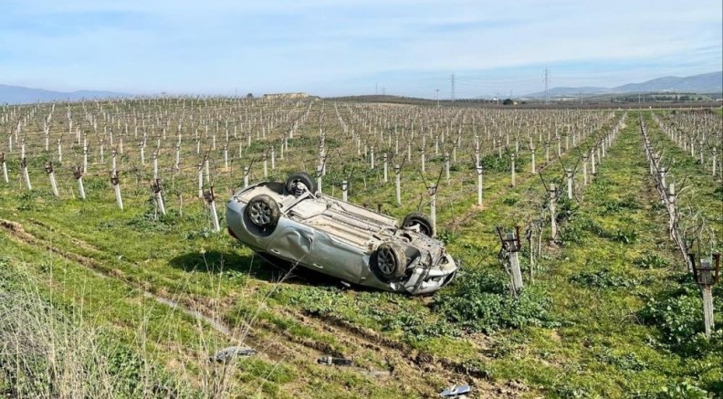 Otomobil, üzüm bağına uçtu