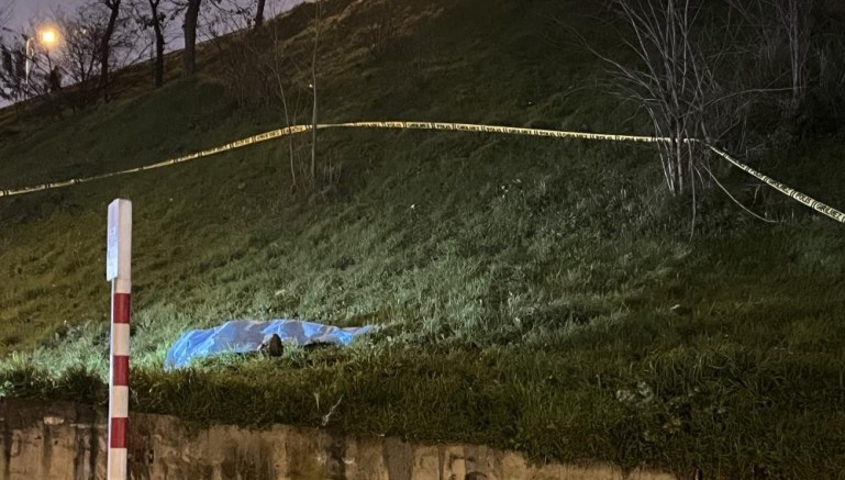 Otoyol kenarında erkek cesedi