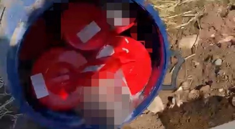 Plastik kutularda 21 cenin bulundu