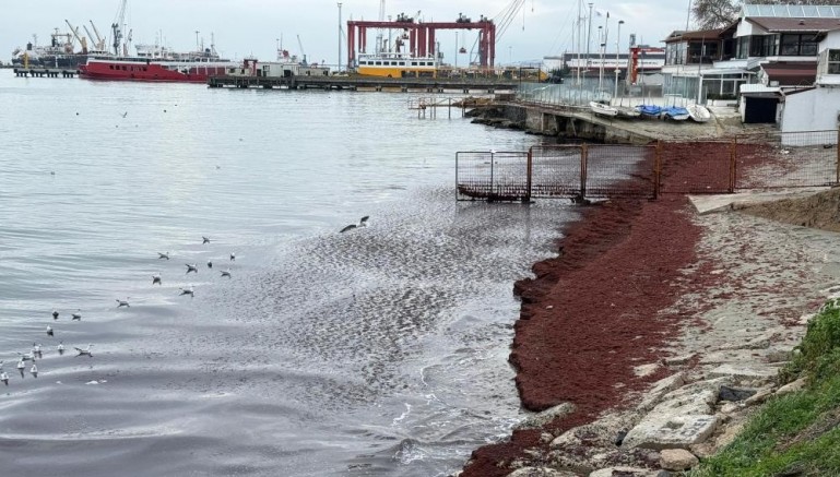 Poyraz sahili kırmızıya boyadı