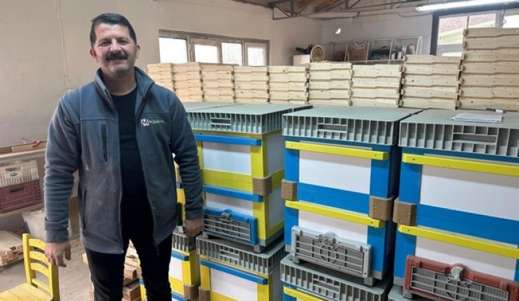 Renkli kovanlar revaçta