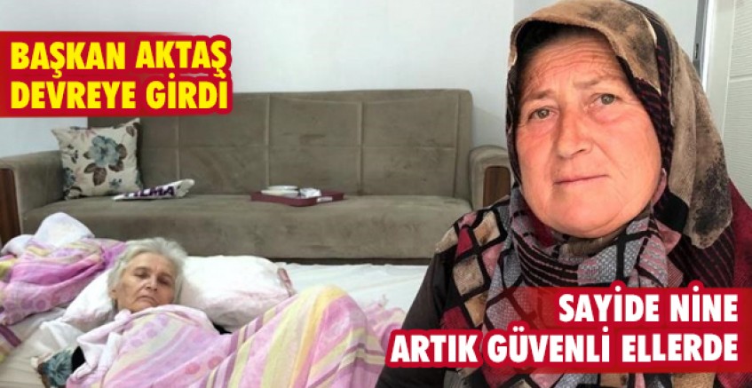 Sayide Nine artık güvenli ellerde
