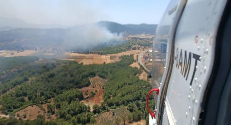 Seydikemer'de orman yangını