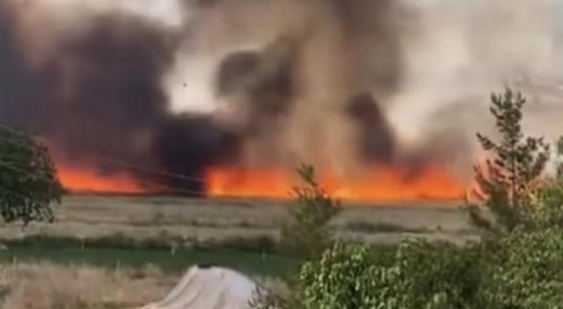 Siverek'te arazi yangını: 1'i ağır 3 yaralı