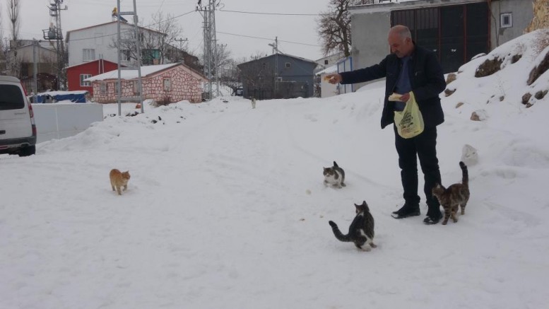 Sokak hayvanları için köyü terk etmiyor
