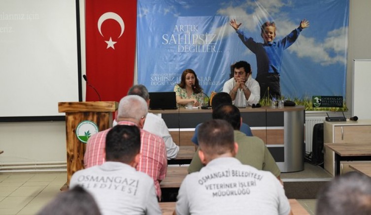 Sokaklar hayvanların doğal yaşam alanıdır