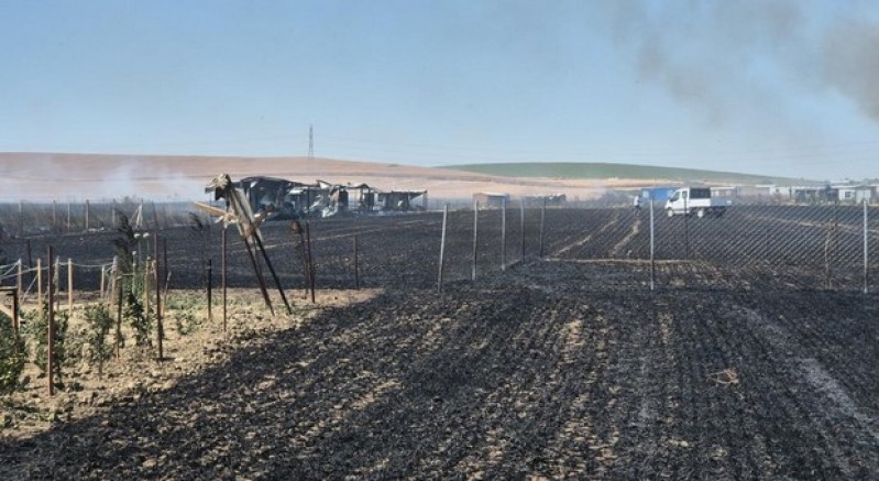 Tekirdağ'da 2 farklı noktada çıkan yangın söndürüldü: