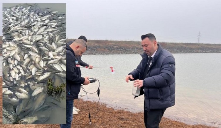 Tekirdağ'da gölette toplu balık ölümleri