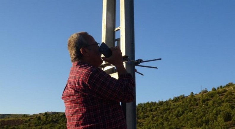 Telefonla görüşebilmek için elektrik direğine çıkıyorlar