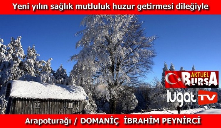Teşekkürler