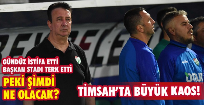 Timsah'ta büyük kaos!