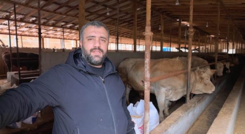 Tonluk 'Paşa' 500 bin lira