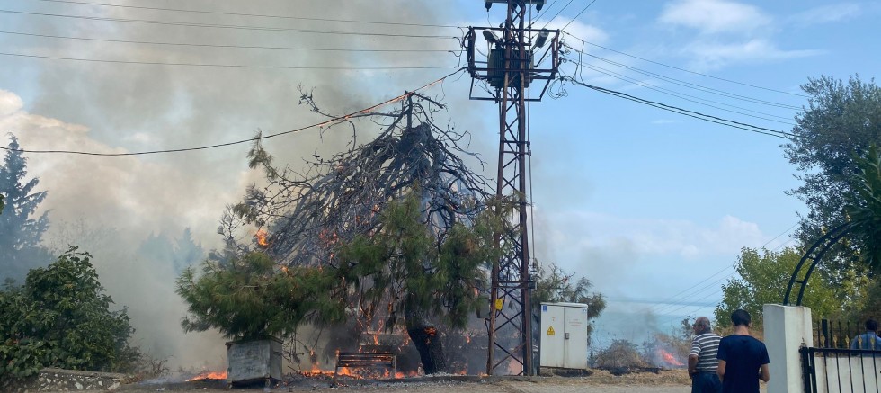 Trafo patladı, ağaçlar alev aldı