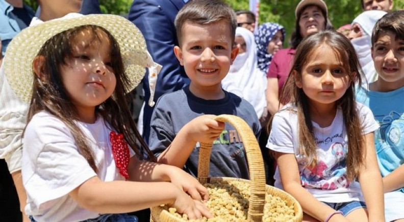 Ulukale dutunda bu yıl 650 ton rekolte beklentisi