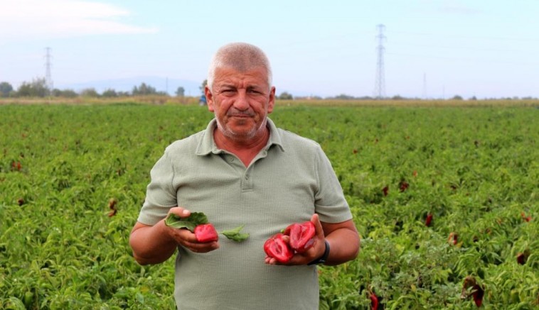 Üretim maliyetleri baskılanamaz hale geldi